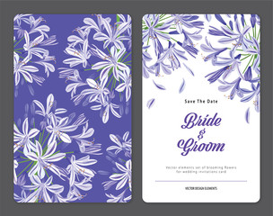 Agapanthus or African lily flowers background template. Vector set of blooming floral for holiday invitations, greeting card and fashion design.