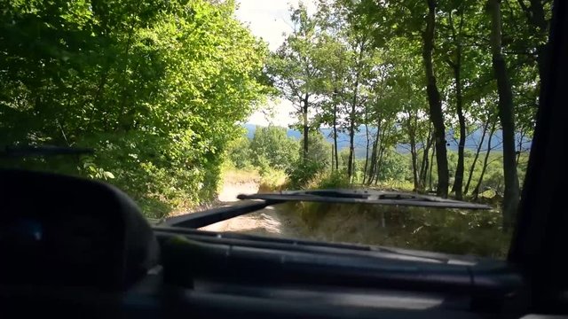 First Person POV Off Roading in the forest.