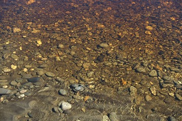 Stream flowing into Lake Kaniere, West Coast, New Zealand