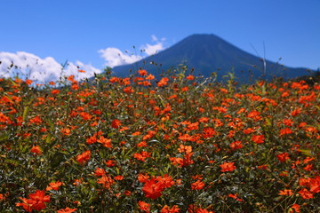 Fototapeta na wymiar 富士山の橙色のドレス
