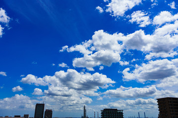 japanese autumn blue sky ( No.5726 )