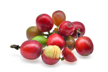 ripe coffee seeds isolated on white background