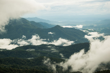 Morning fog on the mountain,Thailand.