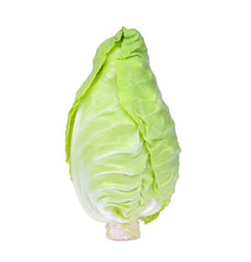 Fototapeta premium fresh whole green pointed cabbage isolated on white background