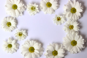 Beautiful flowers with white petals on a white background with space for text.March 8.Valentine's Day.Birthday.