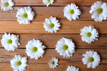 Obraz premium Beautiful flowers with white petals on a wooden background .March 8.Valentine's Day.Birthday.