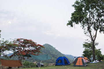 Fototapeta na wymiar Camping tent in forest