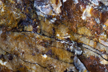 Close up of a rock