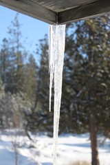 Icicle