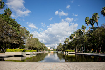 Fototapeta premium parque 
