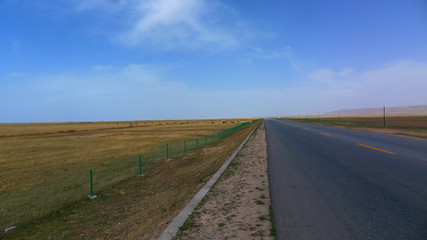 Straight and Grasslands on Both Sides