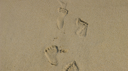 Fototapeta na wymiar A Trail of Footprints in the Sands