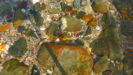 Glossy Stones in a Crystal Clear River