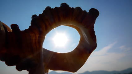 Fototapeta premium Sunlight Through A Conch