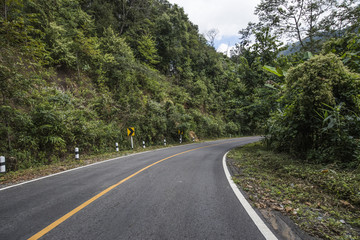 Country Road With Trees Beside