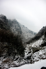 Snow Mantled The Ground in Winter