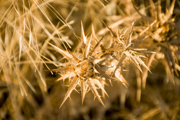 View of the Cretan wild countryside nature and landscape