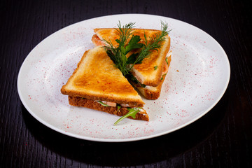 Delicious salmon sandwich