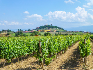 Fototapeta na wymiar Laguardia. Pueblo del vino en Rioja Alavesa, España