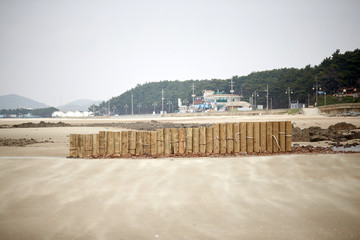 A wooden breakwater at the beach.