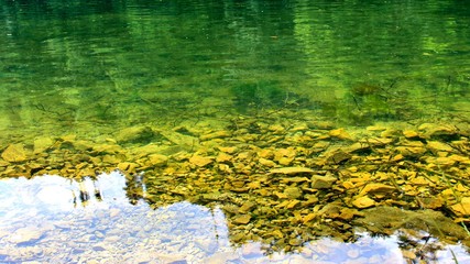 Fototapeta na wymiar pretty green and clean water of an river