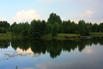 Fototapeta na wymiar Forest by the lake