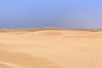 Fototapeta na wymiar heiße sahara wüste mit ihren dünen
