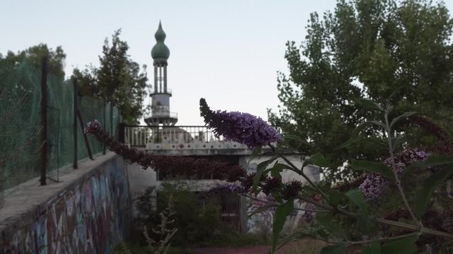consonno gosth city in monza brianza with flower