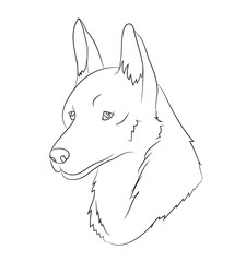 wolf portrait, lines, vector