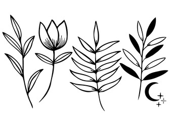 Hand sketched vector vintage floral elements