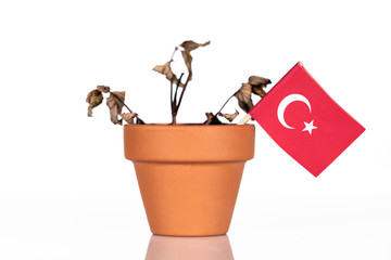 Konzeptbild mit der Flagge der Türkei in einem Blumentopf mit verdörrter Pflanze, Konzept Armut und Inflation, schlechte Wirtschaftskraft und Niedergang der Werte oder Währung - obrazy, fototapety, plakaty