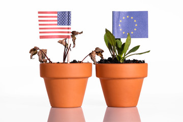 Konzeptbild mit den Flaggen der USA und der EU in Blumentöpfen, Konzept USA hat schlechtes Wirtschaftswachstum und Europa steigendes oder gutes - obrazy, fototapety, plakaty