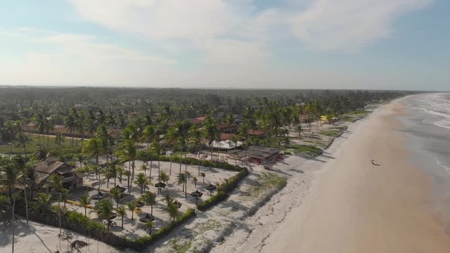 Beach and palmtrees near the tropical sea. canavieiras, bahia, brazil