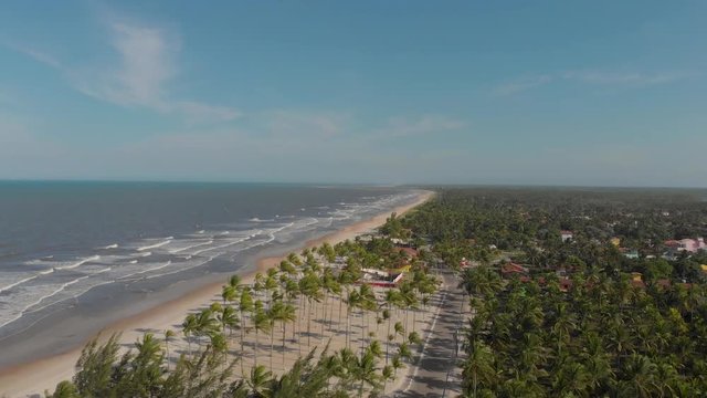 Beach and palm trees on the beautiful blue sea. canavieiras, bahia, brazil