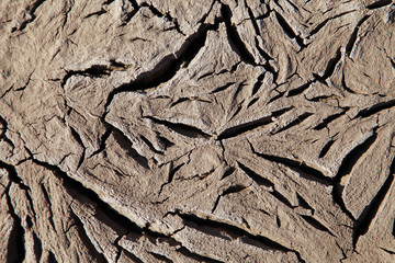 Climate warming dry chapped land