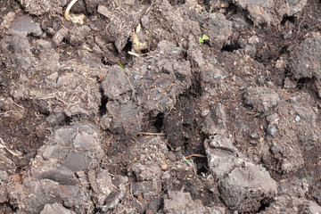 close up blank soil surface for grow plant