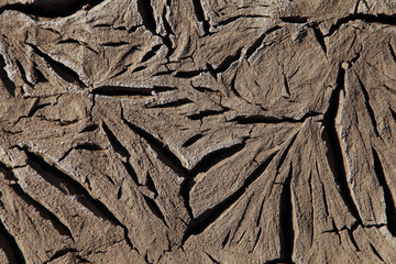 Climate warming dry chapped land