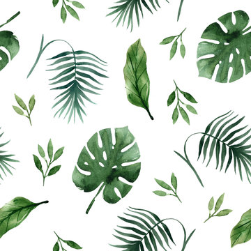 Seamless tropical pattern with palm leaves and branchese,hand drawn watercolor