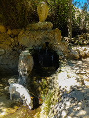 Cala San Pedro. Beach in Cabo de Gata, Almeria. Andalusia, Spain