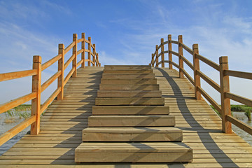 Fototapeta premium Wooden bridge under the blue sky in the wetland park