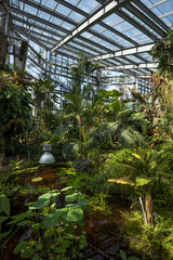 Fototapeta na wymiar Rainforest vegetation in a greenhouse at Geneva Conservatory and Botanical Garden, Geneva, Geneva Canton, Switzerland