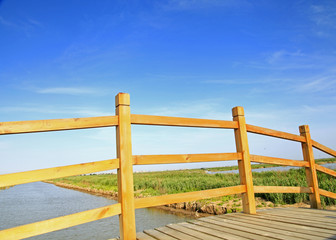 Wooden bridge under the blue sky in the wetland park