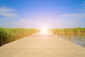 Wooden bridge under the blue sky in the wetland park