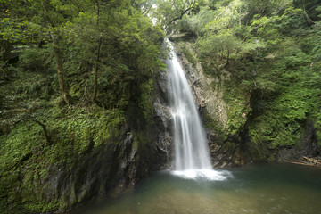 Fototapeta na wymiar 五木村の大滝