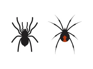 Vector set of spiders. Black isolated silhouette of spiders. Halloween elements