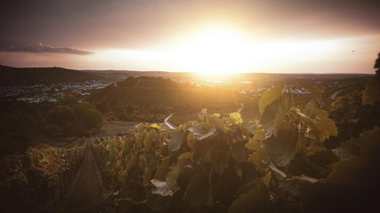 Stuttgart Weinberge