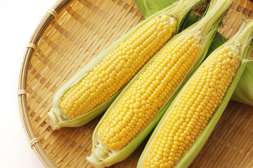 とうもろこし　Fresh yellow corn
