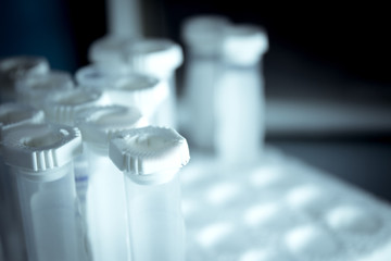 Vials for veterinary use to cure different diseases