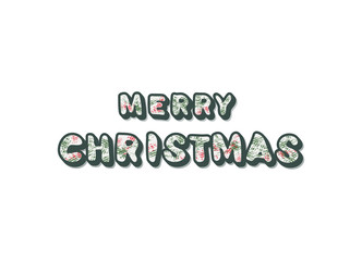Merry Christmas inscription. Handwritten lettering with decoration. Vector illustration.