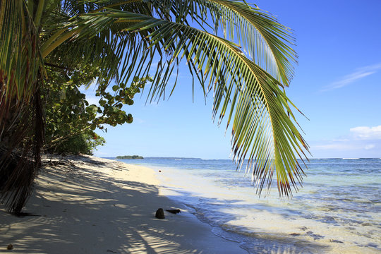 Tropical Beach of Zapatilla Sur. Bocas del Toro, Panama